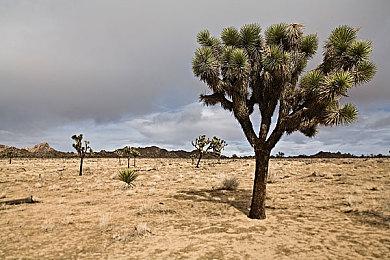 厂商介绍《钢之崛起》武器系统和冷却系统细节